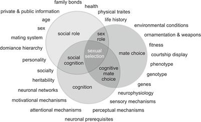 Mate Choice, Sex Roles and Sexual Cognition in Vertebrates: Mate Choice Turns Cognition or Cognition Turns Mate Choice?